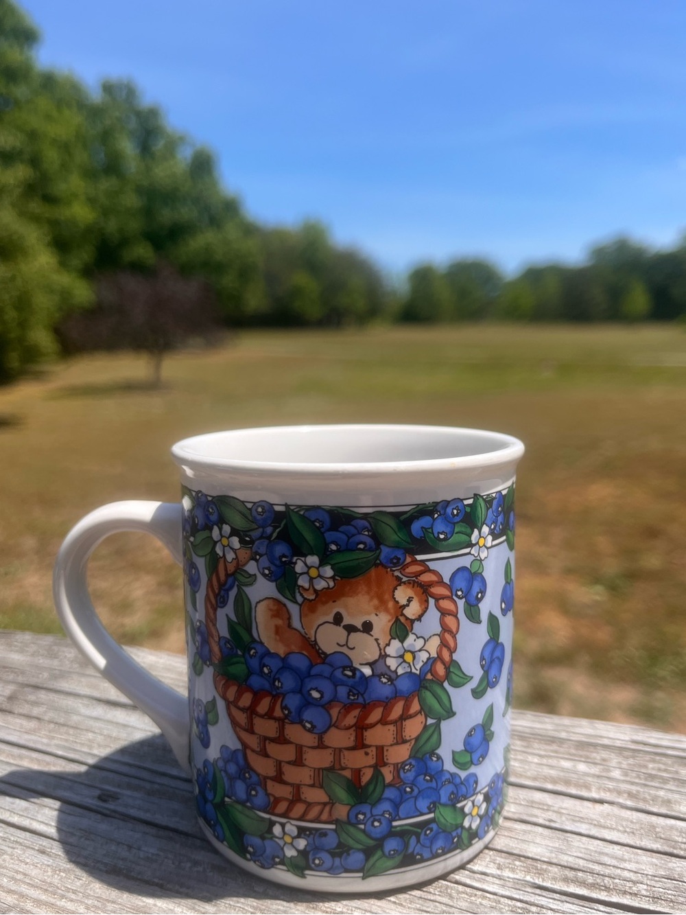 Vintage 1992 coffee mug • adorable teddy bear in a basket & blueberries 🫐
